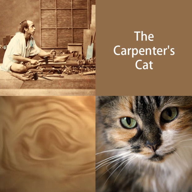 carpenter-cat