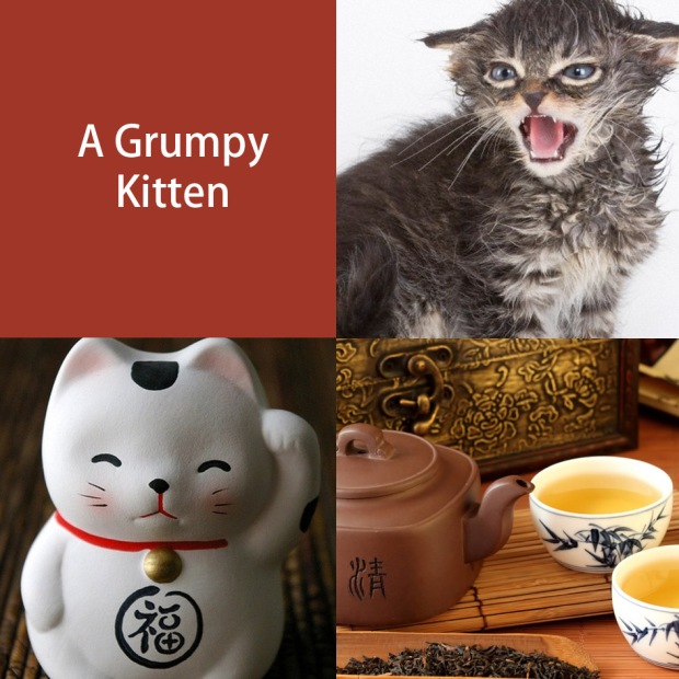 kitten-grumpy