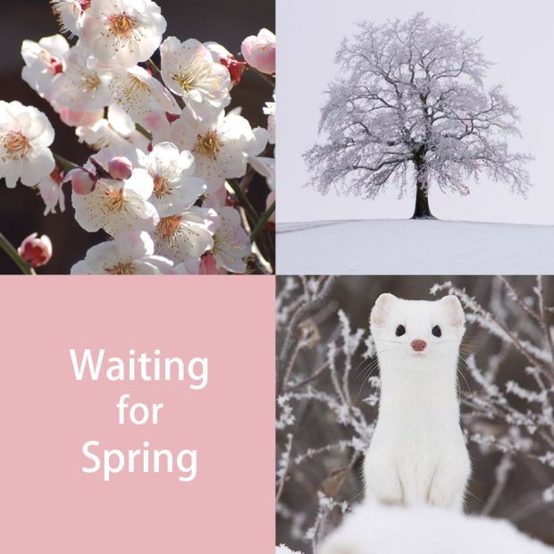 waitin spring.jpg